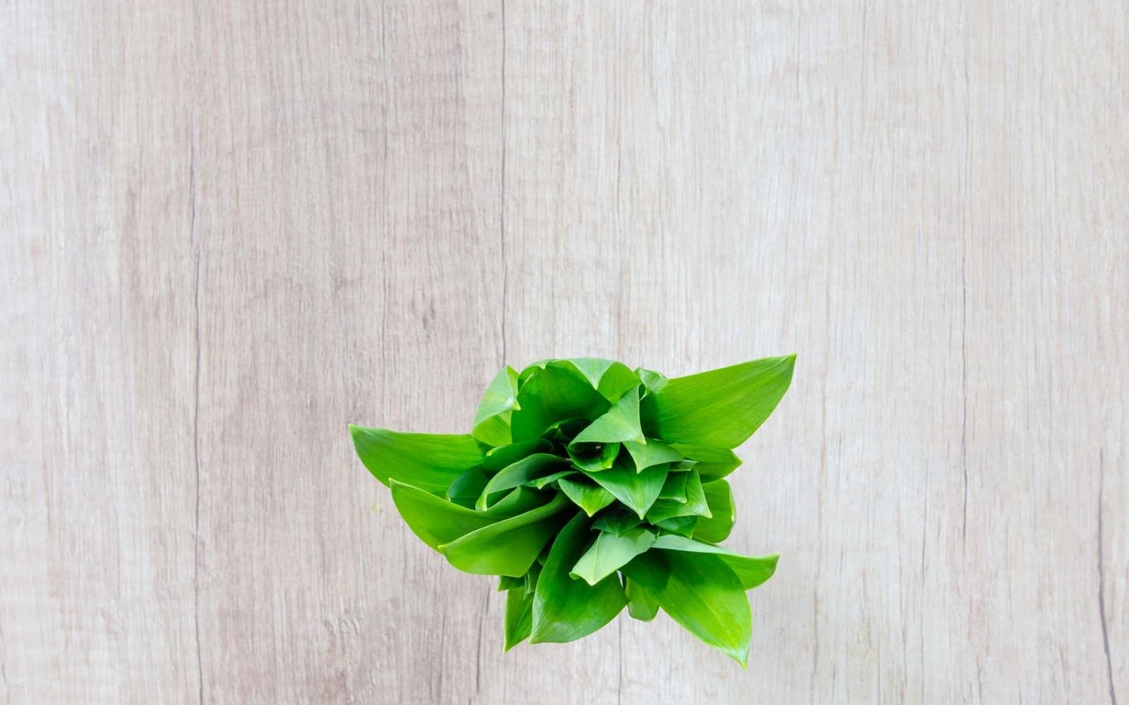 Ayurveda Isn't About Fancy Herbs: It's About Living in Sync with Nature