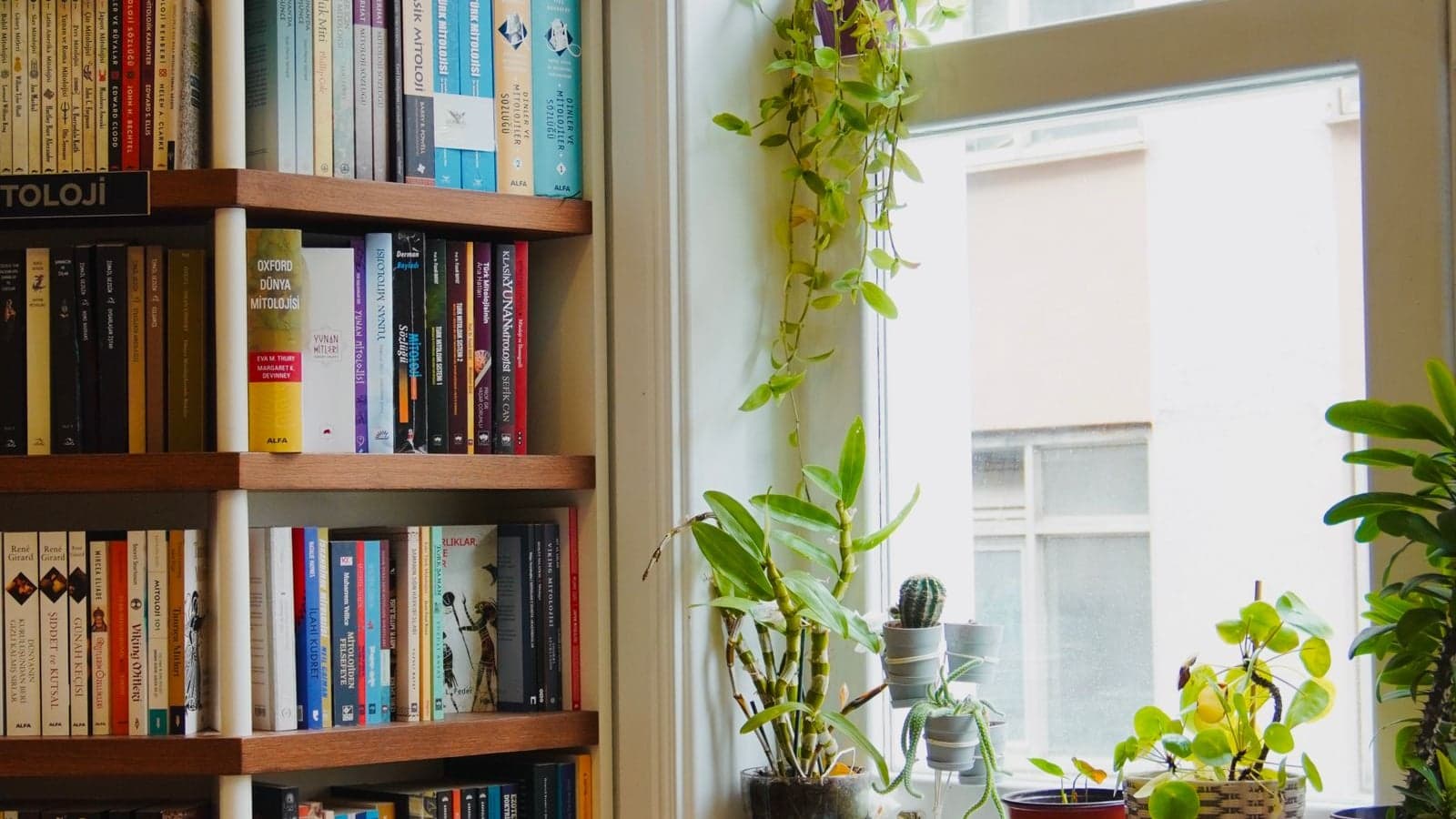 Building a Life That Supports Your Health Instead of Fighting It