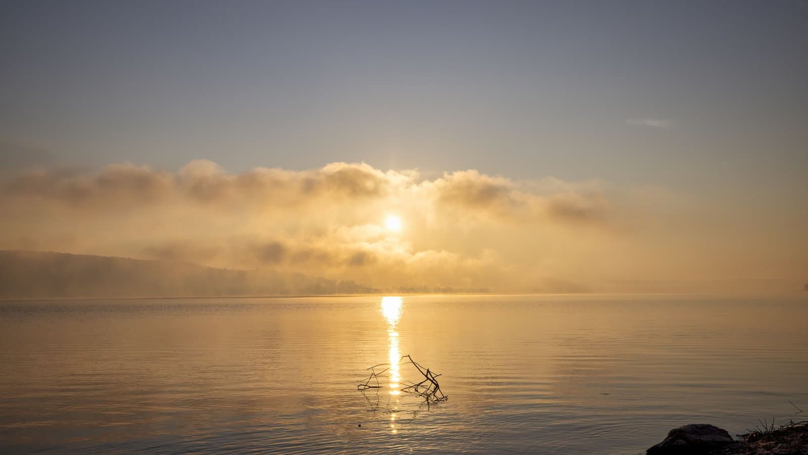 How Just 20 Minutes of Daily Yoga Can Transform Your Health