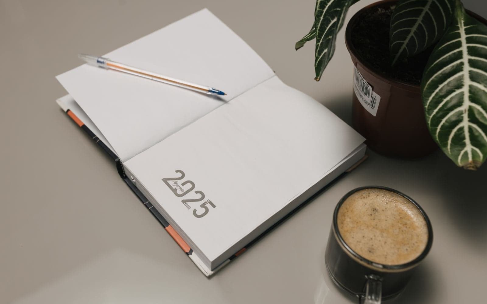The Power of Tiny Habits: How Small Daily Choices Create Big Health Changes