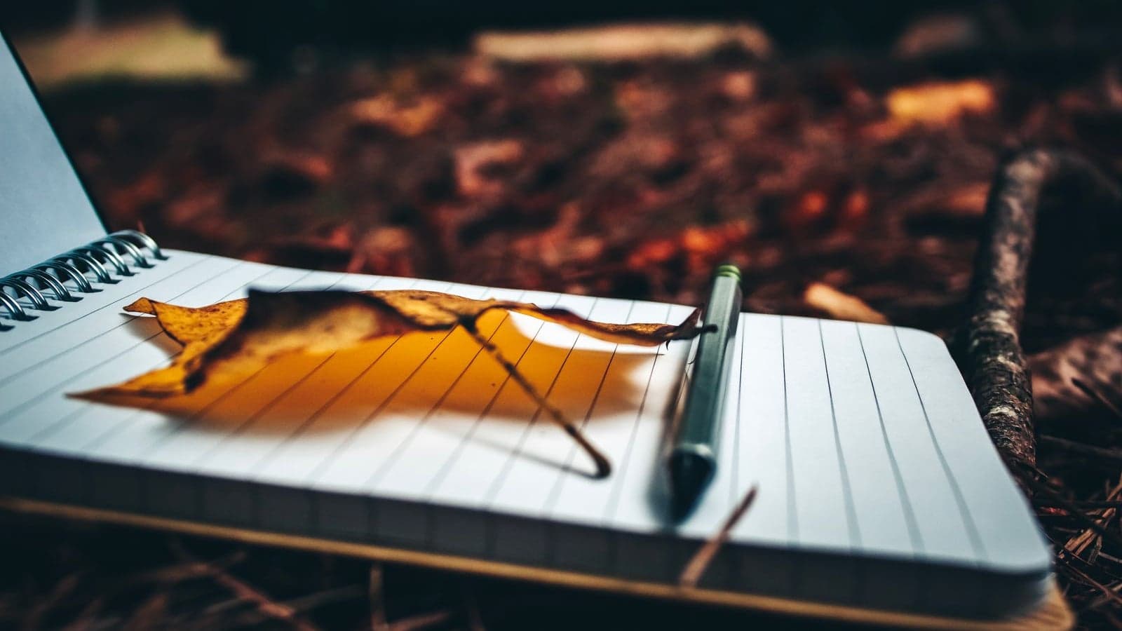 The Power of Tiny Habits: How Small Daily Choices Create Big Health Changes